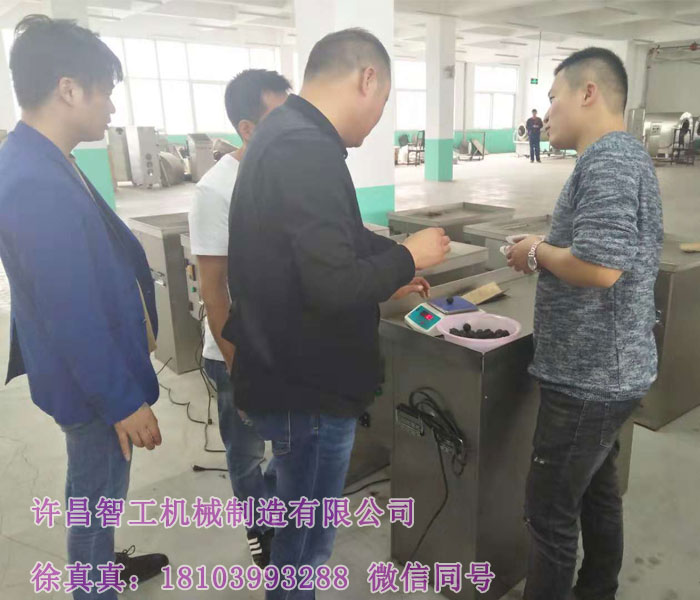 湯圓元宵制陷機