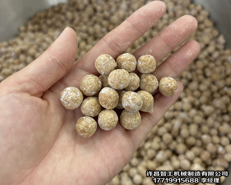 流水線炒貨機(jī)