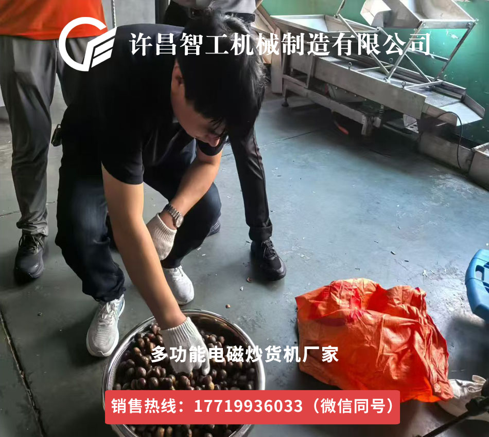 電磁板栗炒貨機(jī)加工廠