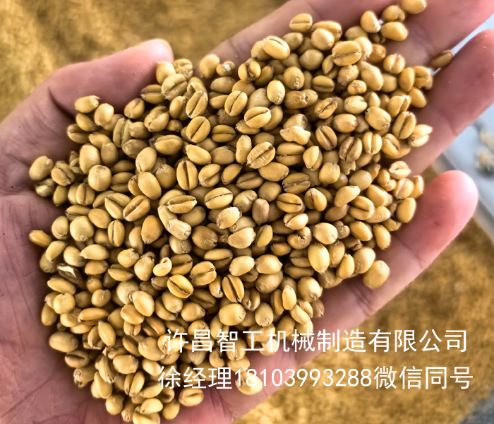 電磁炒貨機