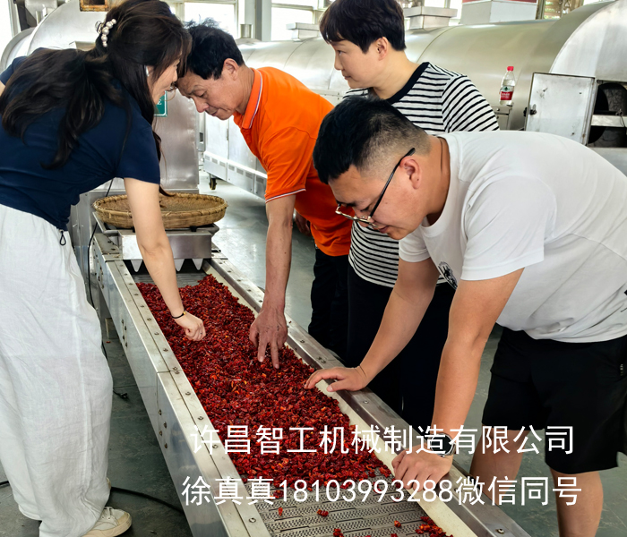 真實客戶上門試機｜全自動辣椒翻炒機實力見證